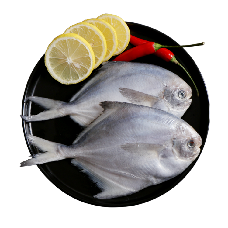 渔港 国产冷冻渤海白鲳鱼 银鲳鱼 平鱼 500g 4条 袋装 海捕 海鲜水产 光明服务菜管家商品 