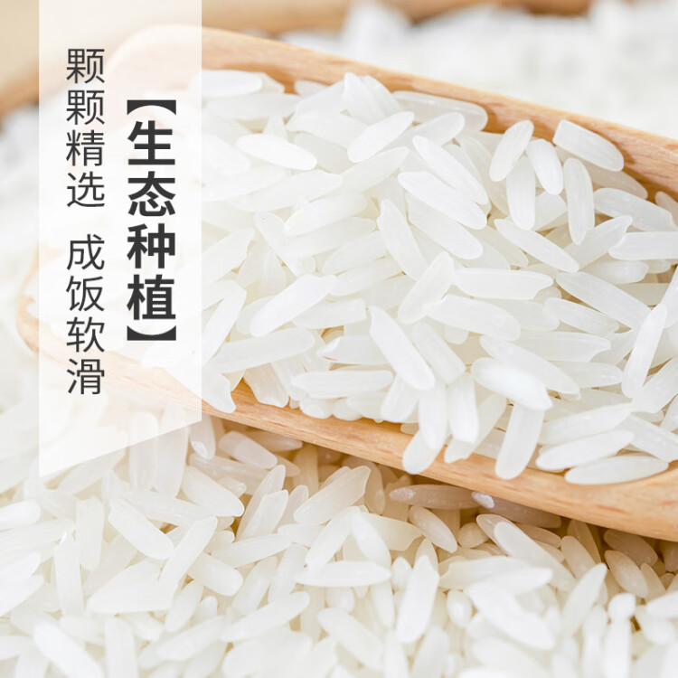 太粮 信鲜靓虾王香软米 油粘米 大米 籼米5kg 光明服务菜管家商品 