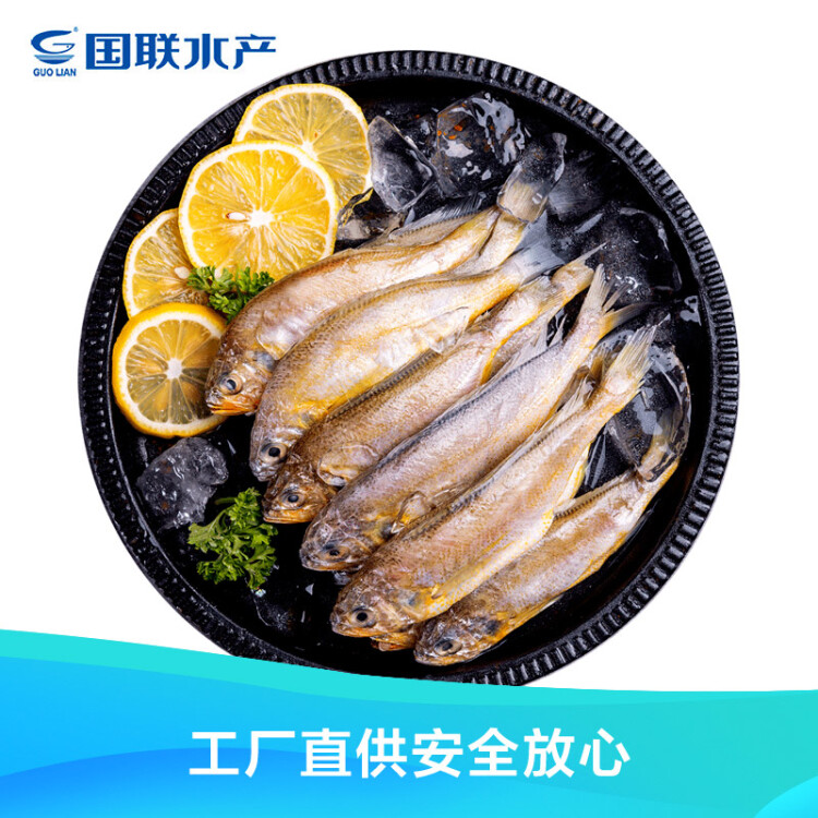GUO LIAN国联龙霸 东海国产小黄鱼1.2kg 24-32条 深海鱼类 精选 家庭储备