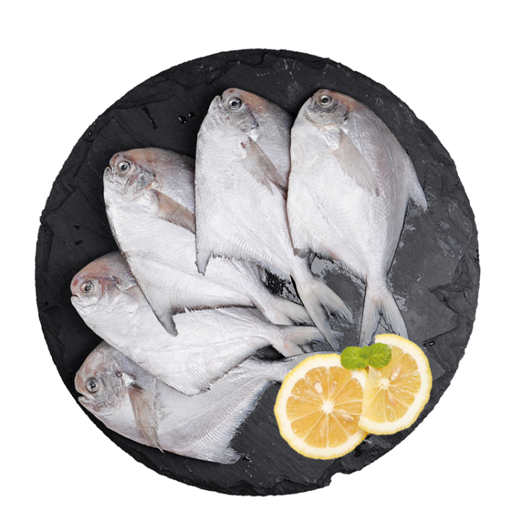 純色本味 冷凍舟山銀鯧魚 燒烤 健康輕食 白鯧魚 平魚 400g/袋 生鮮（4-5條）紅燒食材 海鮮水產
