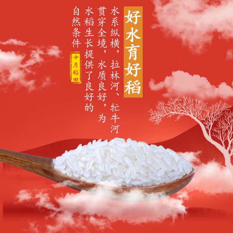 十月稻田 23年新米 寒地之最 五常有机稻香米 5kg 五常大米 东北大米 10斤 光明服务菜管家商品 