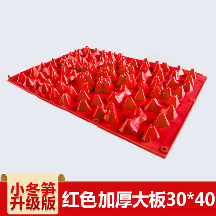丁丁 指压板足底按摩垫趾压板TPE材质韩国小冬笋超大超痛版按摩垫 小冬笋-红 30X40厘米【图片 价格 品牌 评论】-京东