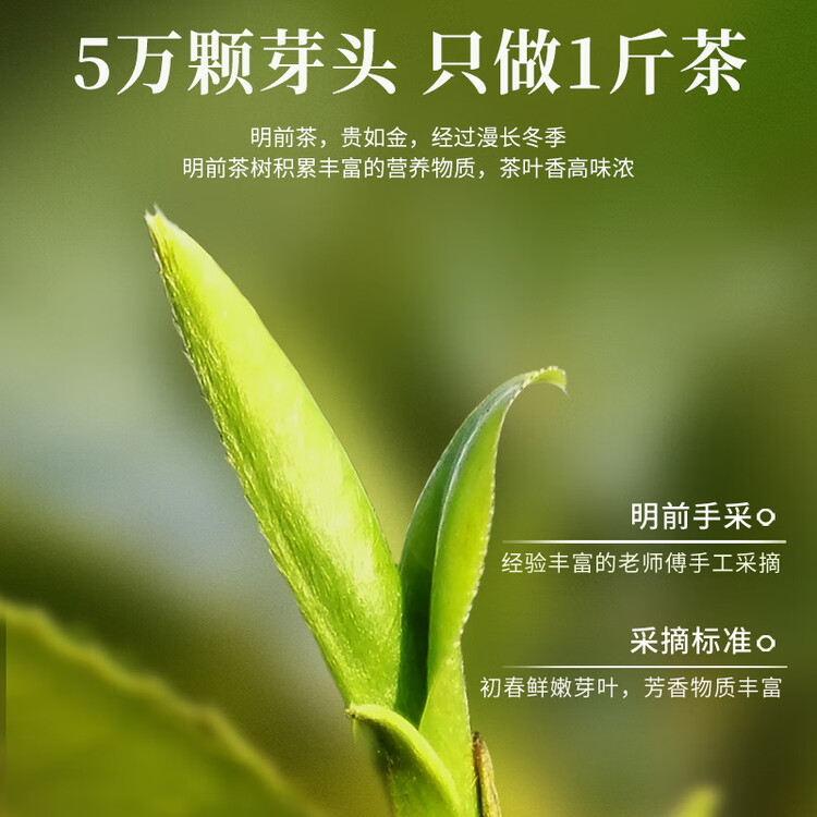 一杯香茶叶绿茶正宗明前龙井茶250g2025新茶过年货礼盒装送礼自己喝自饮 菜管家商品