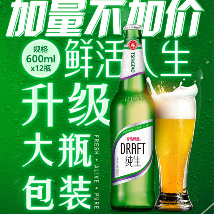 青島啤酒（TsingTao）純生8度600ml*12瓶 整箱 新老包裝隨機(jī)發(fā)貨 菜管家商品