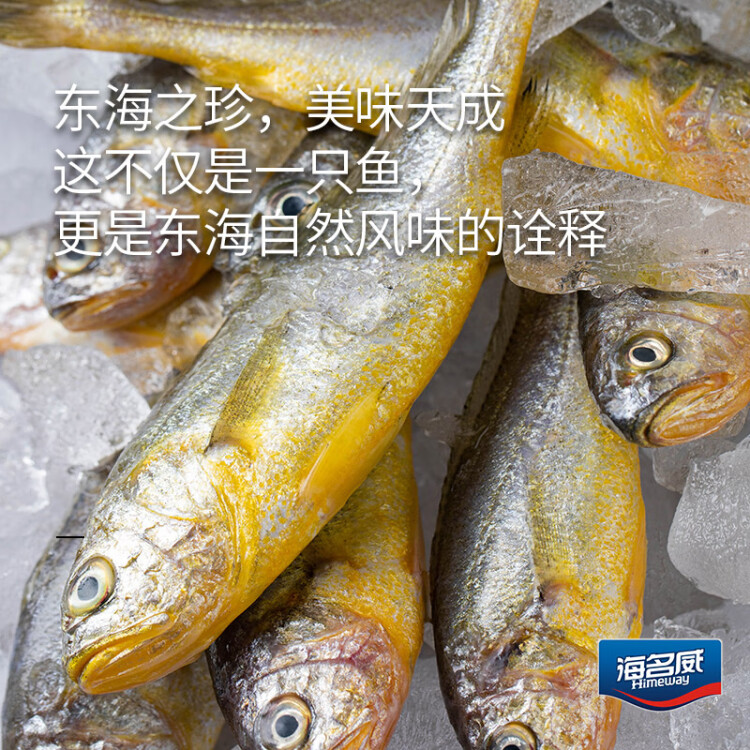 海名威 冷凍東海小黃魚(yú)500g 16-20條 海魚(yú) 生鮮魚(yú)類 海鮮水產(chǎn) 燒烤 菜管家商品