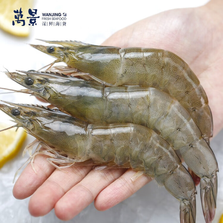 萬景北海鮮凍白蝦國產白蝦 凈重4斤 100-120只 大蝦對蝦 海鮮生鮮燒烤