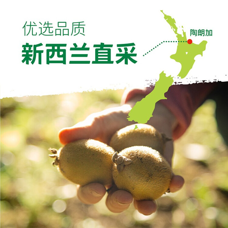 佳沛（zespri）新西兰阳光金奇异果18粒超大原箱单果重约175-204g 水果礼盒 菜管家商品