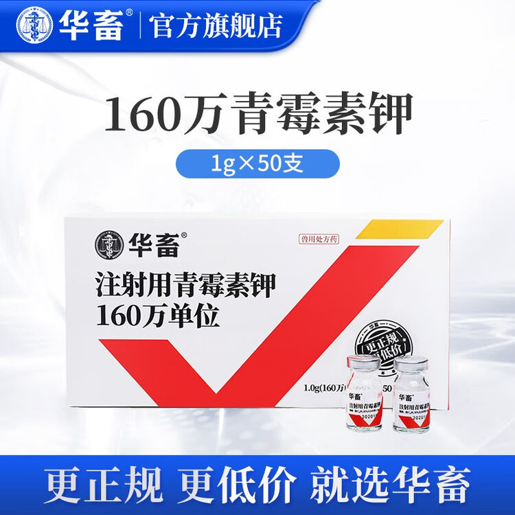华畜 兽用160万单位青霉素钾 注射用兽药猪丹毒 破伤风【图片 价格