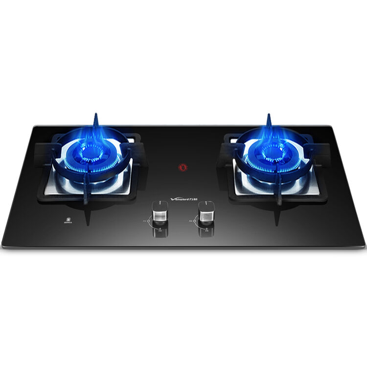 万和(vanward)燃气灶 煤气灶 家用台嵌可用天然气灶双灶嵌入式钢化