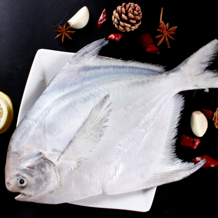 鲜美惊 新品 斗鲳鱼渤海鲳鱼白鲳鱼平昌鱼新鲜鲜活鲳鱼海鱼海产品三条试吃装 净重8两 1斤每条 平鱼 白鲳斗鲳 地区不同叫法不同 图片价格品牌评论 京东