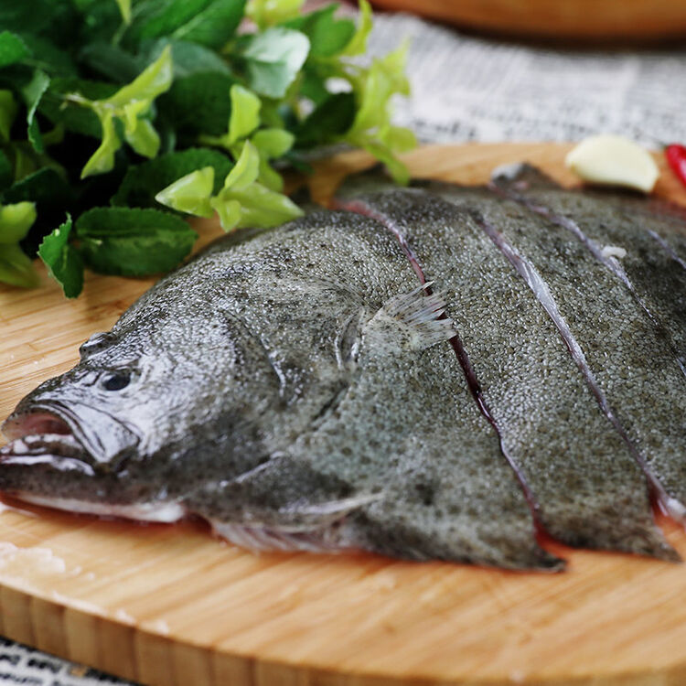 多宝鱼海鲜鲜活比目鱼蝶鱼鸦片鱼冷冻海鲜水产海鱼 精选多宝鱼【7两-9