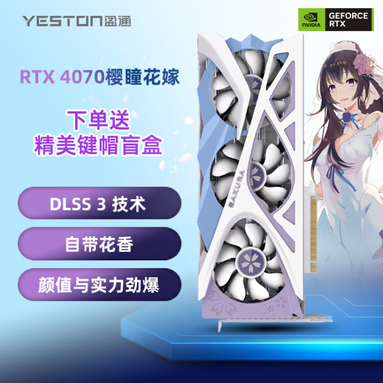 Yeston 樱瞳RTX 4070-