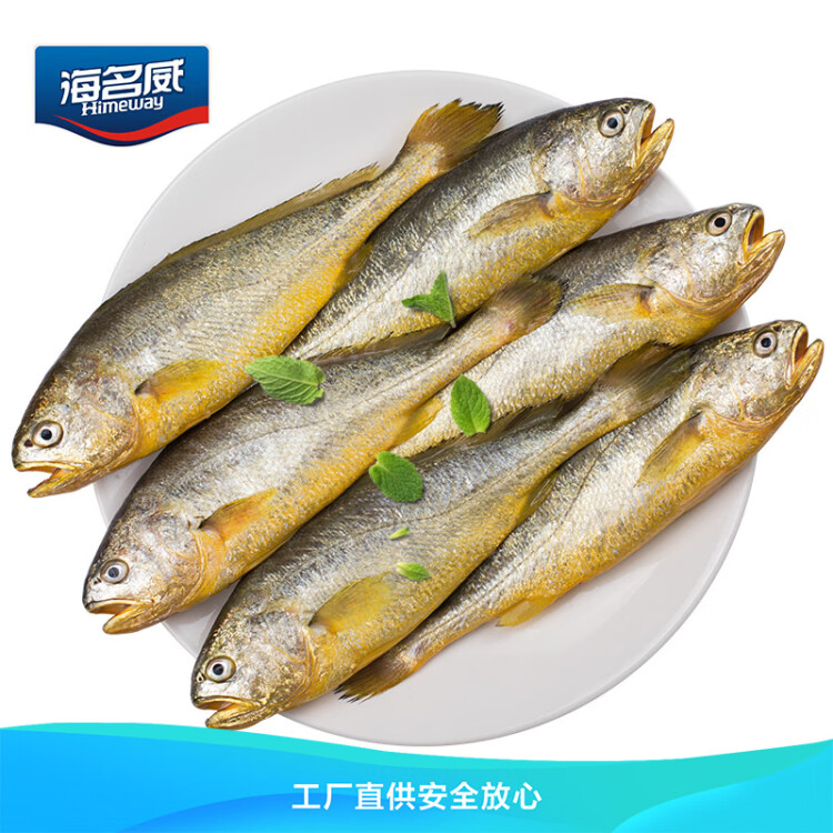 海名威 冷冻黄花鱼1650g/6条装 宁德大黄鱼 深海鱼 生鲜鱼类 海鲜水产 光明服务菜管家商品 