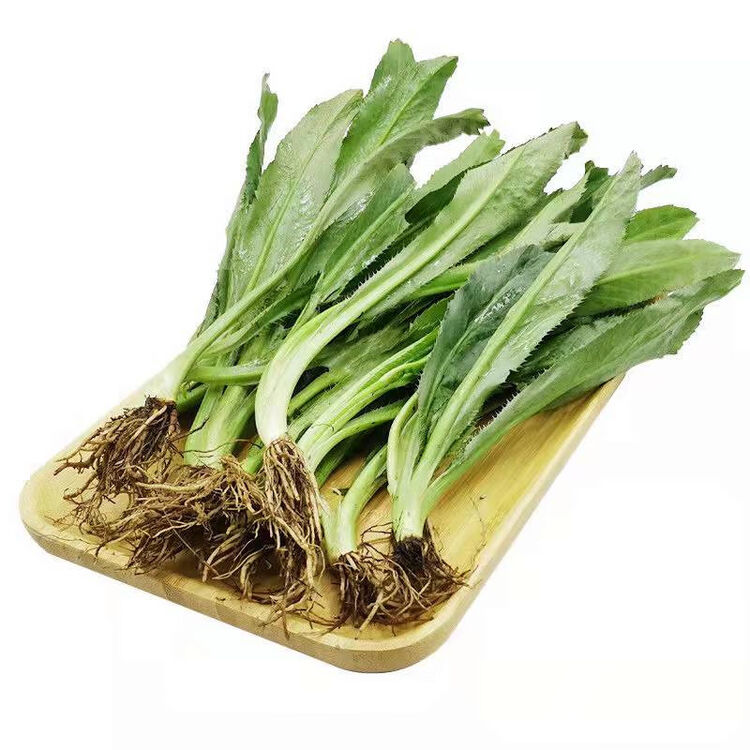 新鲜现摘刺芫荽大香菜刺芹洋鹅芥假芫茜250g
