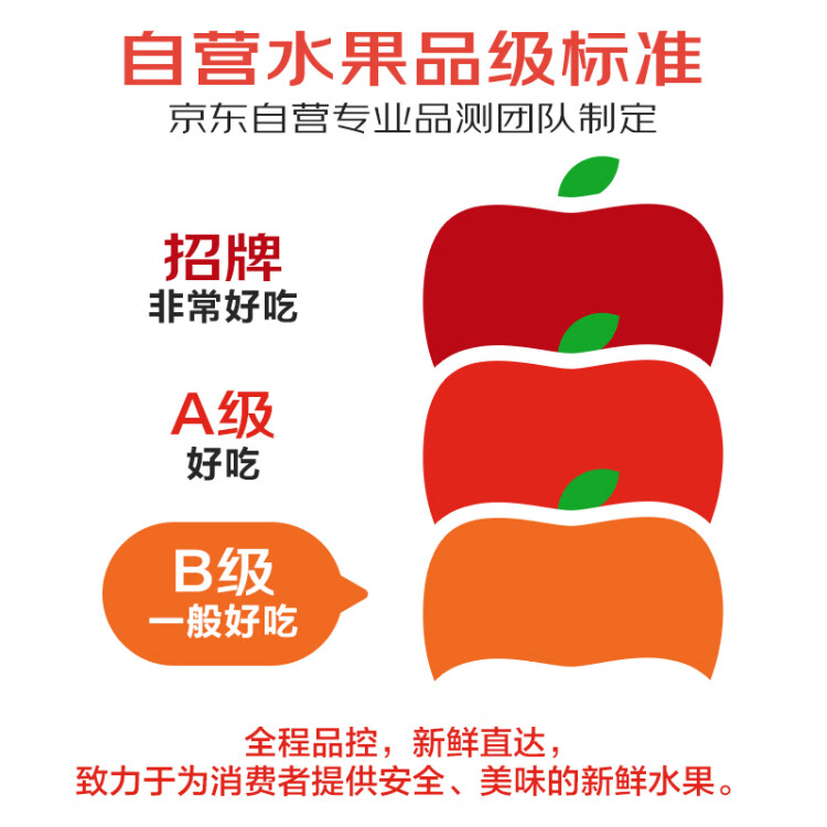 京鲜生越南进口红心火龙果 2个装单果450-500g水果 源头直发一件包邮 光明服务菜管家商品