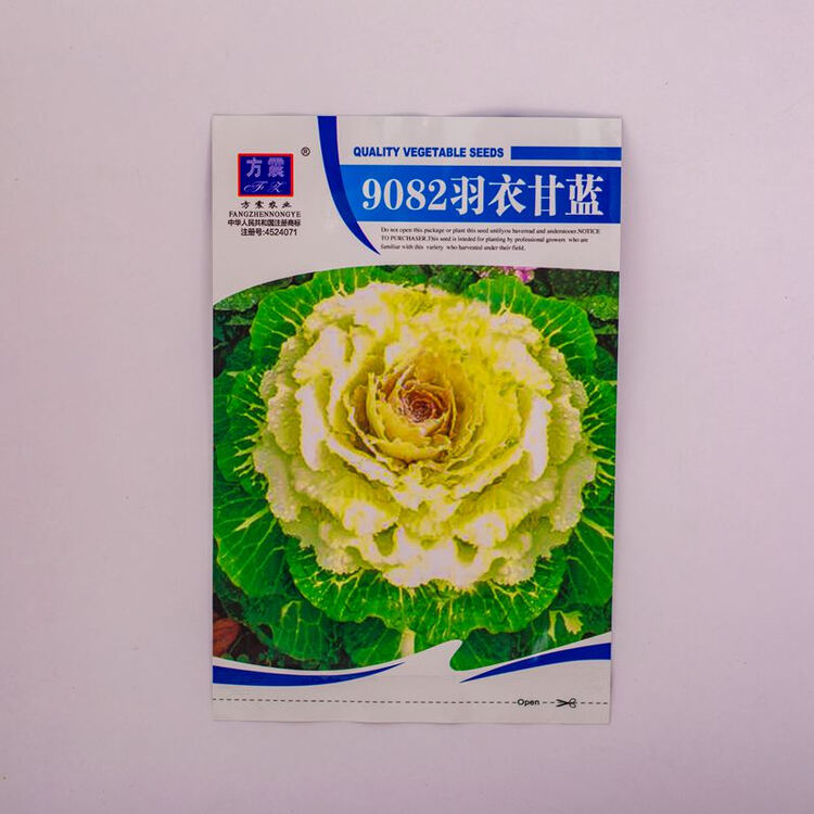 羽衣甘蓝种秋冬季粉羽粉种籽耐寒园林观赏花种子阳台盆栽种孑羽衣甘蓝约100粒1 5 图片价格品牌评论 京东