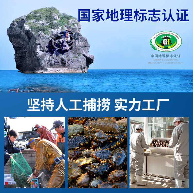 國(guó)善堂大連淡干海參250g30-40頭深海底播遼刺參皇冠海鮮干貨 菜管家商品