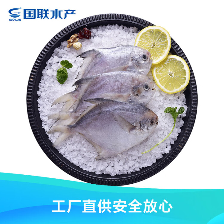 GUO LIAN國聯 東海白鯧魚 銀鯧魚 600g 5-8條  國產深海魚產地直供 冰凍