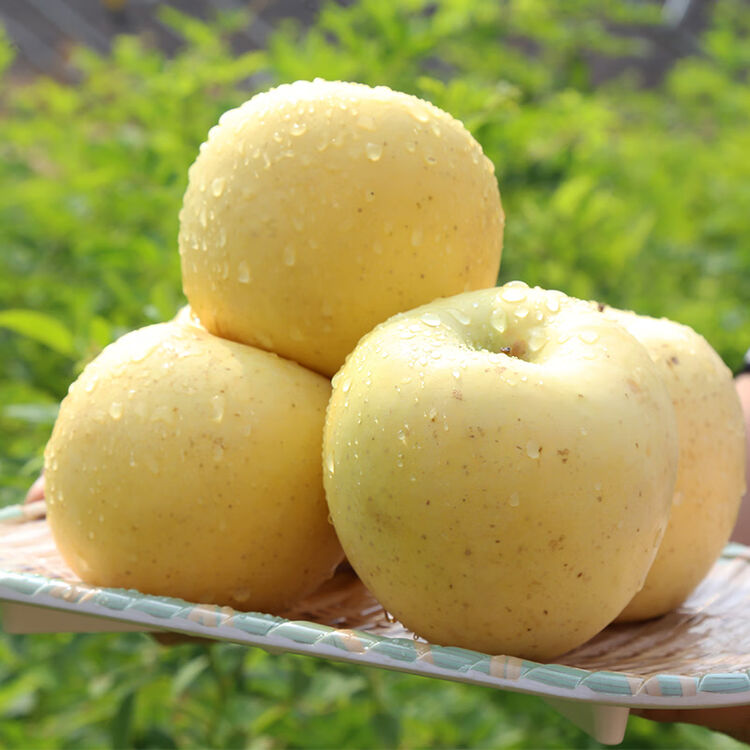 黄金奶油富士10山东烟台栖霞红富士苹果脆甜新鲜水果整箱糖心5斤 5斤