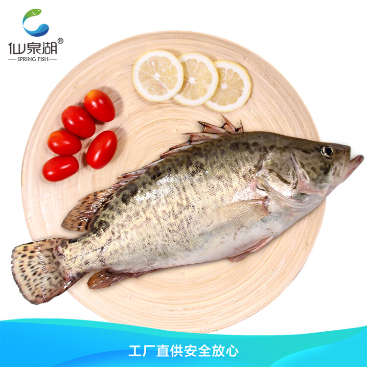 仙泉湖三去桂花魚 400g*1條 凈膛冷凍鱖魚無細刺海鮮水產食材