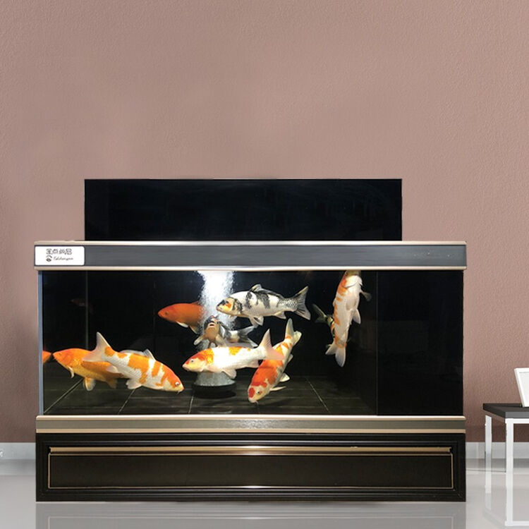 地缸大鱼缸水族箱客厅家用大型生态龙鱼缸办公室靠墙金鱼缸免换锦鲤