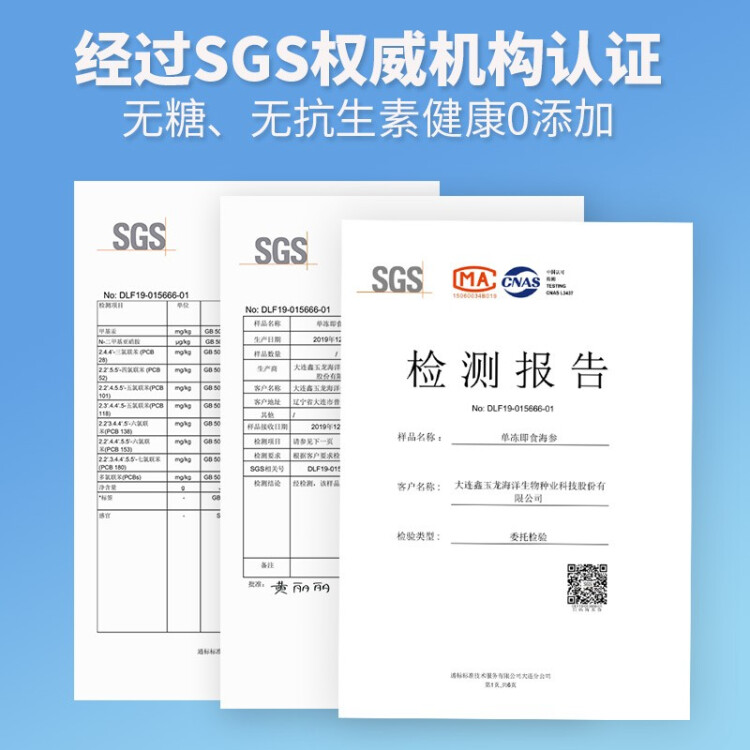 喜玉大连即食海参500g 固形物80%以上 10-15只 简装 辽刺参 光明服务菜管家商品