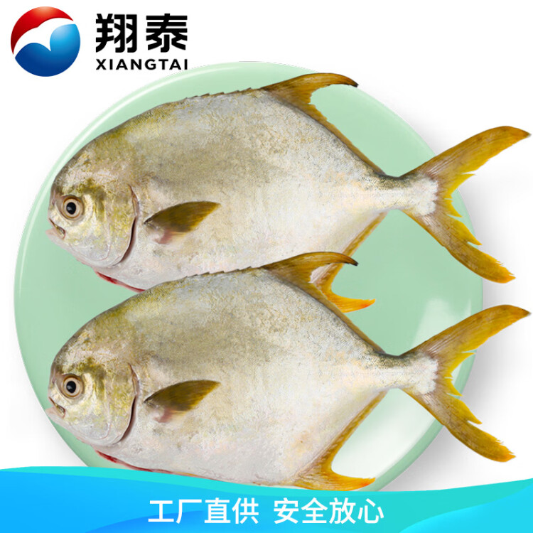 翔泰 冷冻海南二去金鲳鱼700g2条  生鲜鱼类 火锅食材 海鲜水产