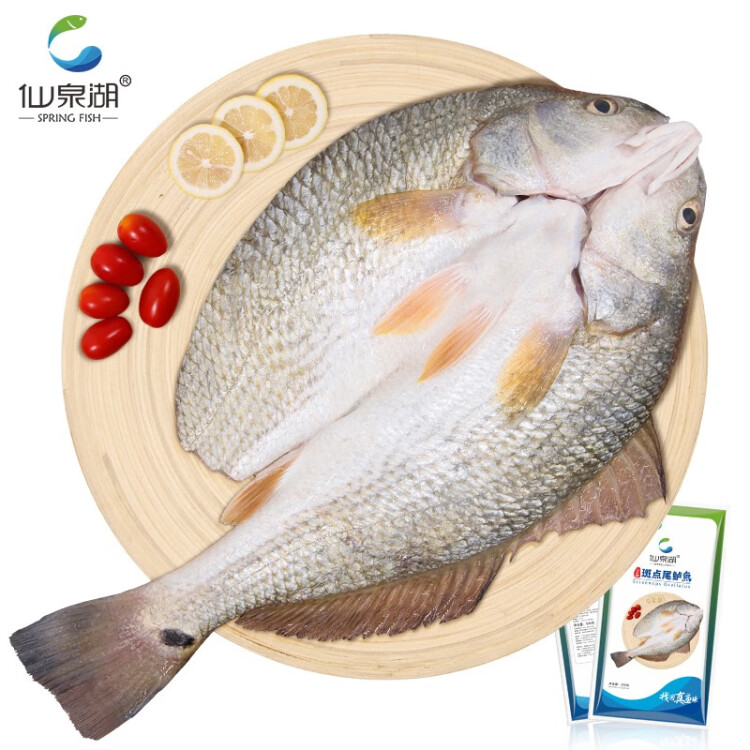 仙泉湖三去斑点尾鲈鱼 500g*1条 净膛冷冻肉厚刺少 海鲜水产食材 菜管家商品