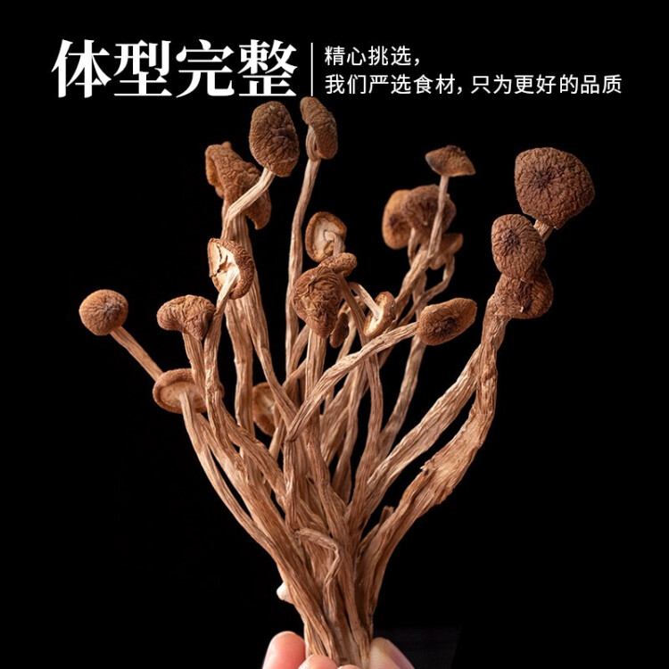 禾煜 福建茶树菇 200g  鲜嫩不开伞  火锅煲汤凉拌食材 光明服务菜管家商品 