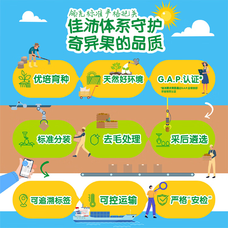 佳沛（zespri）绿奇异果特大果22-25个原箱装单果约135-176g 中秋送礼水果礼盒 光明服务菜管家商品