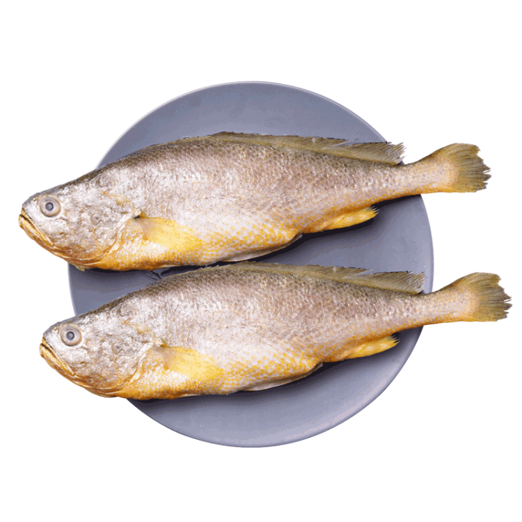GUO LIAN国联 三去黄花鱼 1kg 2条 国产东海大黄鱼 产地直供 生鲜冰冻 光明服务菜管家商品 