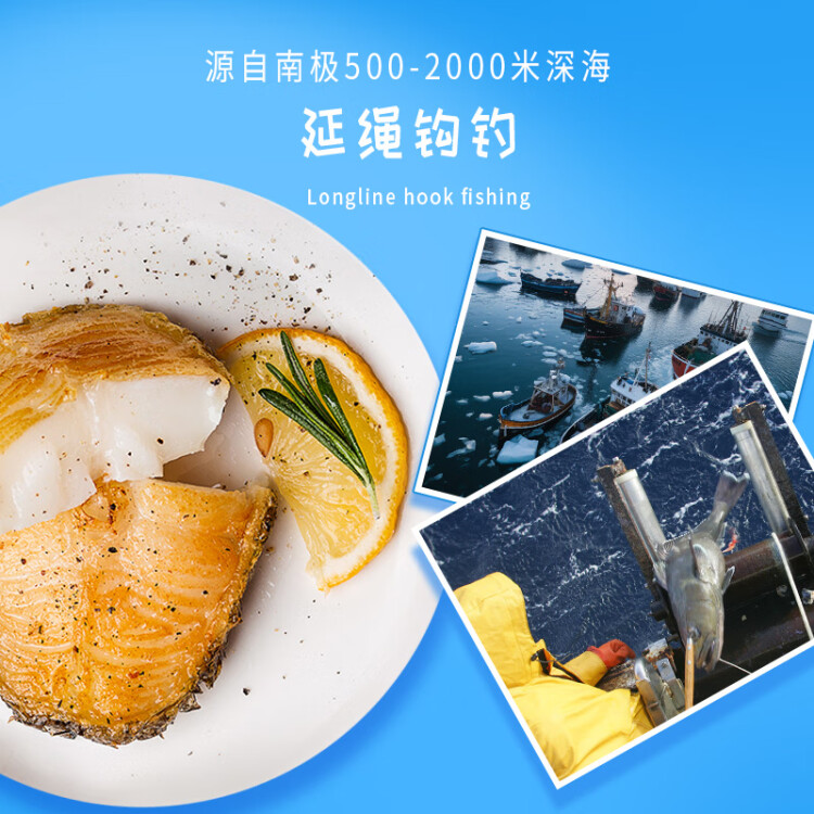 海天下冷冻南极银鳕鱼200g(犬牙鱼) 海鲜水产 生鲜宝宝鱼类 铺餐食 光明服务菜管家商品 