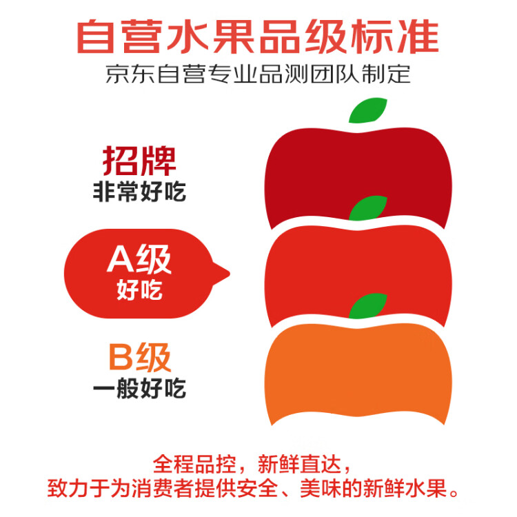 都乐Dole 菲律宾进口 非转基因木瓜4只装 单果重350g起 源头直发 包邮 菜管家商品