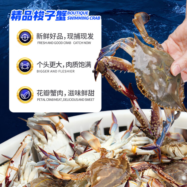 【冰鲜】贝司令 舟山梭子蟹 2.8斤 单只3.5-4.5两 7-8只 100%鲜活发出 保鲜不保活  光明服务菜管家商品 