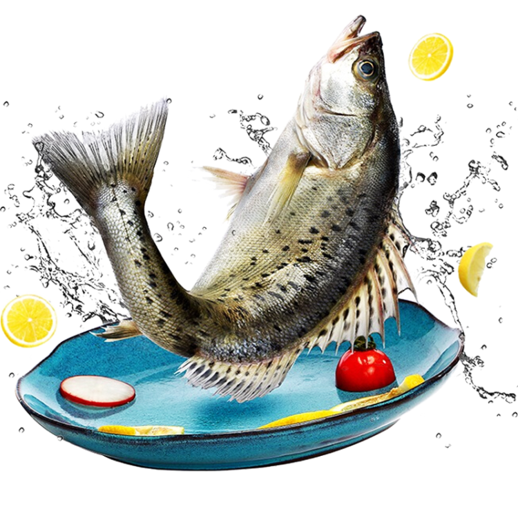 海名威 国产冷冻三去海鲈鱼450g 1条 鱼身开片 （内含清蒸调料包） 生鲜 海鲜水产 年货节 健康轻食