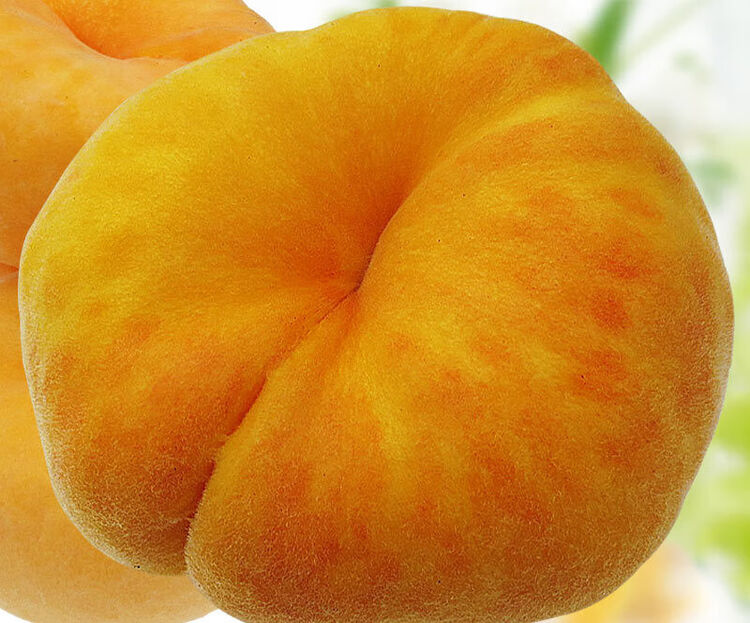 黄蟠桃桃子新鲜水果水蜜桃蒙阴蟠桃毛蟠桃扁桃黄桃农家5斤装