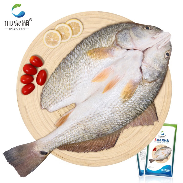 仙泉湖三去斑点尾鲈鱼 500g*1条 净膛冷冻肉厚刺少 海鲜水产食材 菜管家商品