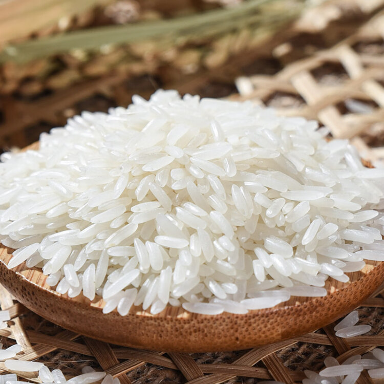 太粮  柬埔寨茉莉香米 进口原粮 大米 长粒香米 5kg 光明服务菜管家商品 