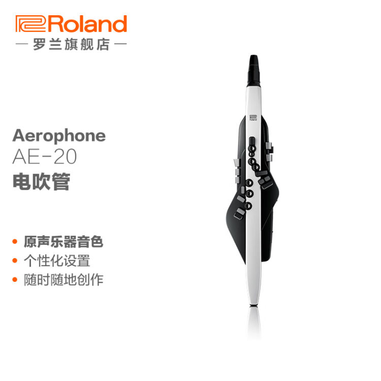 罗兰（Roland）Aerophone AE-20 电吹管自带扬声器电子吹管乐器萨克斯AE