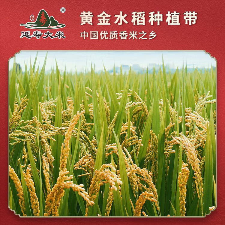 三人行东北大米 稻香2号1.25kg 2023年新米 东北哈尔滨特产 粳米2.5斤 菜管家商品
