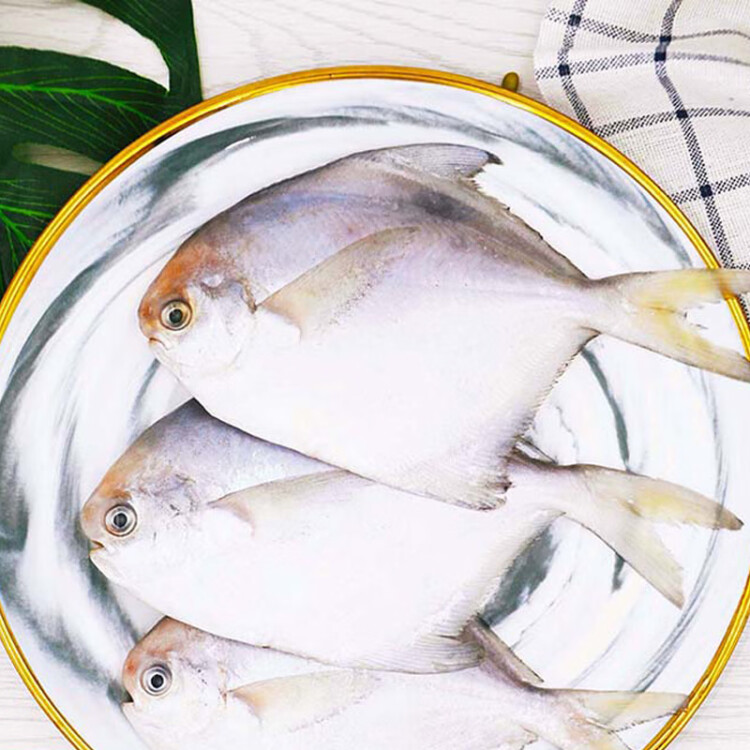 水巷口 东海 冷冻白鲳鱼 海捕平鱼 800g 袋装 海鲜年货 光明服务菜管家商品 