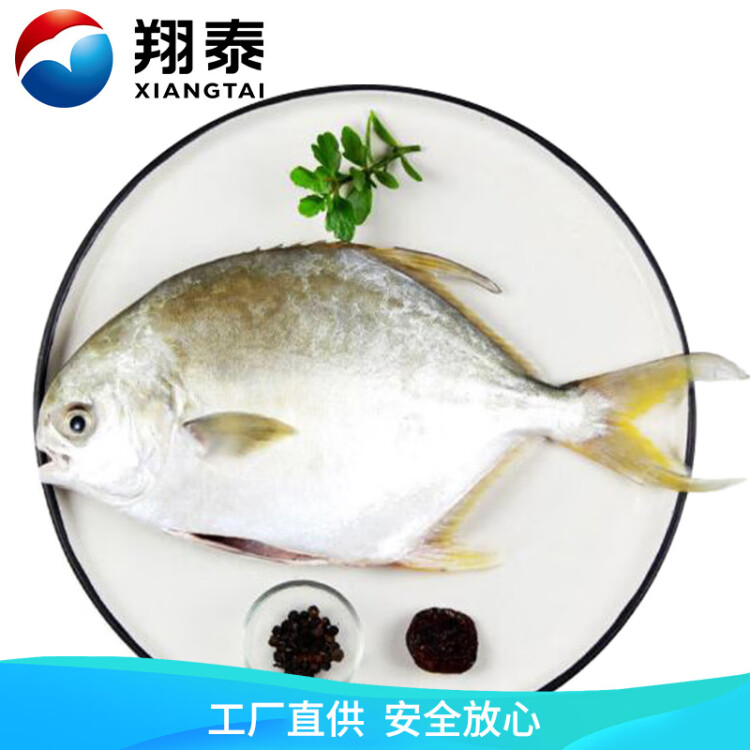 翔泰 冷凍二去金鯧魚340g1條  生鮮魚類 火鍋食材 海鮮水產(chǎn) 光明服務(wù)菜管家商品