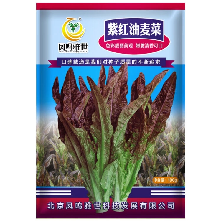 凤鸣雅世红油麦菜种子菜籽火锅蔬菜种籽叶菜快菜小白菜生长迅速易种植蔬菜种孑紫红油麦菜种子100克【图片价格品牌评论】-京东