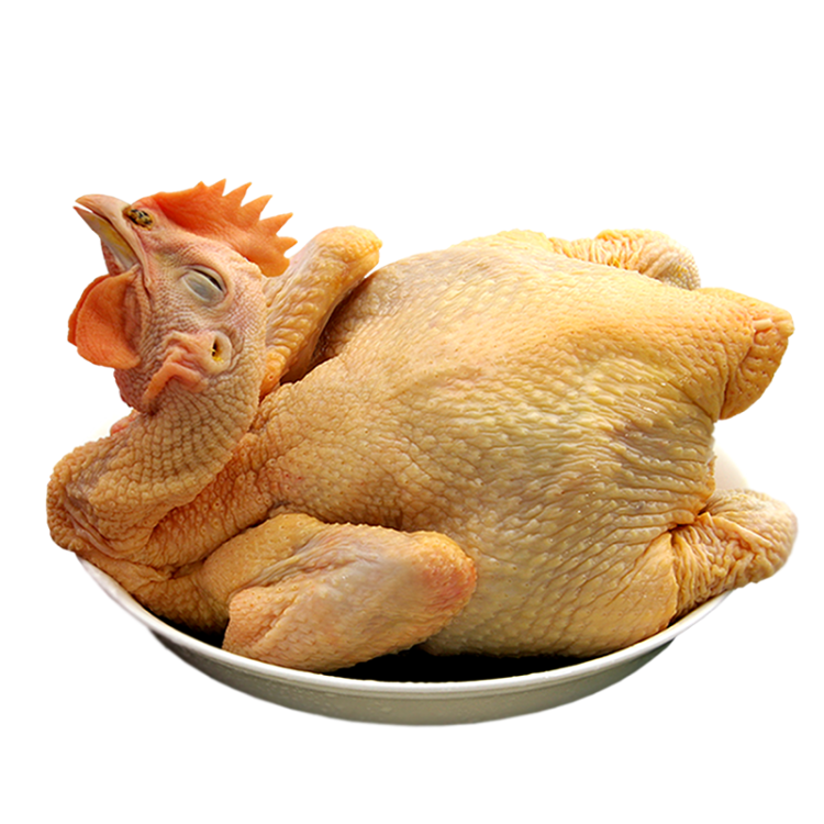 温氏 供港黄油鸡1kg 冷冻 黄油母鸡农家土鸡整鸡 散养 鸡肉 光明服务菜管家商品 
