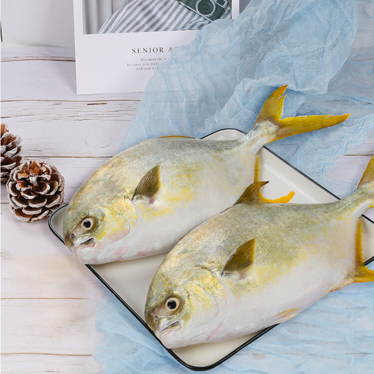 翔泰 冷冻海南金鲳鱼900g 2条装 ASC 鱼类生鲜 火锅食材 海鲜水产 光明服务菜管家商品 
