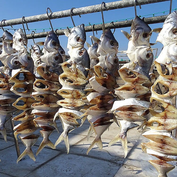 广东特产天然淡晒金鲳鱼鱼干海鲜干货批发金昌鱼海产品干货金仓鱼 金鲳鱼干(1条装 约160-180克)【图片 价格 品牌 评论】-京东