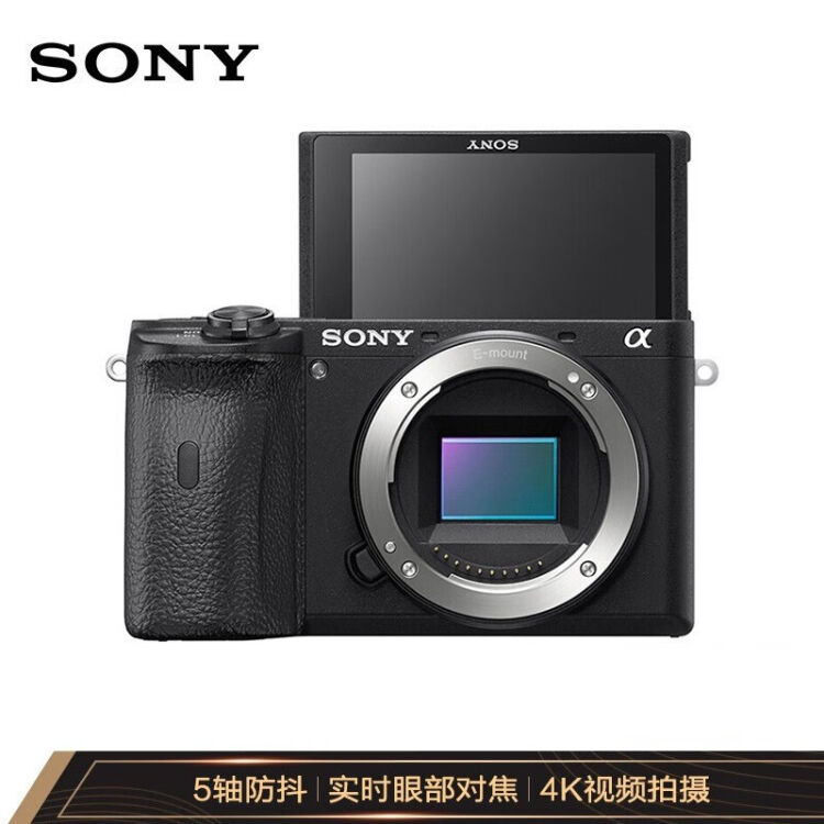 索尼（SONY）Alpha 6600 APS-C画幅微单数码相机单机身黑色(ILCE-6600 