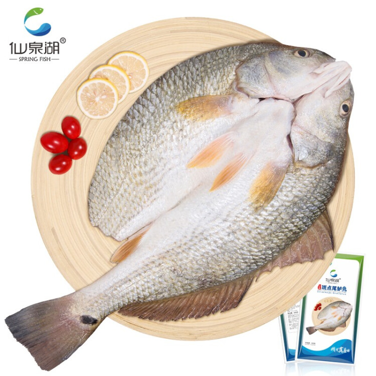 仙泉湖三去斑点尾鲈鱼 500g*1条 净膛冷冻肉厚刺少 海鲜水产食材 菜管家商品