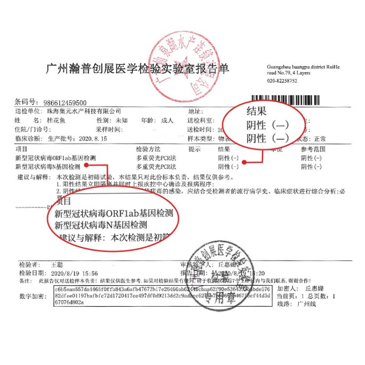 仙泉湖三去桂花魚400g/條凈膛冷凍鱖魚無(wú)細(xì)刺海鮮水產(chǎn) 光明服務(wù)菜管家商品