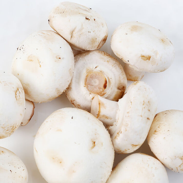 【jd物流】精选口蘑新鲜 双孢菇白蘑菇圆菇4斤团建过年送礼送人生鲜